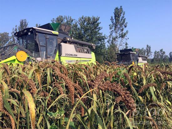 一路北上！中联重科纵轴流收割机跨区秋收显身手