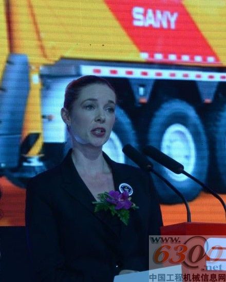 三一重工 吉尼斯世界纪录